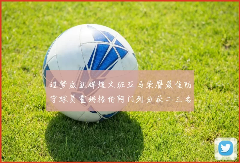 追梦成就辉煌文班亚马荣膺最佳防守球员霍姆格伦阿门列分获二三名