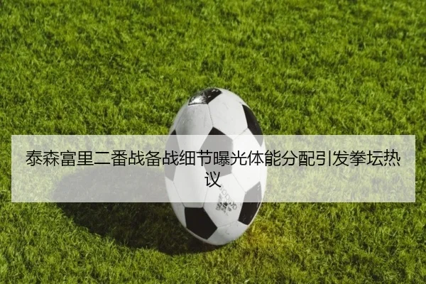 泰森富里二番战备战细节曝光体能分配引发拳坛热议